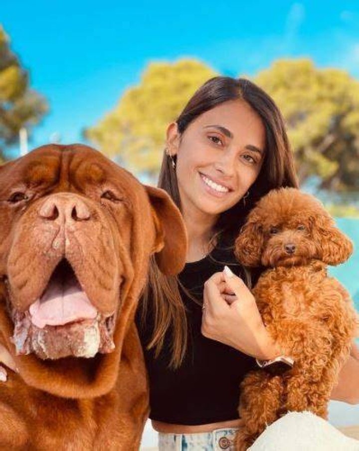 Antonela Roccuzzo Pets