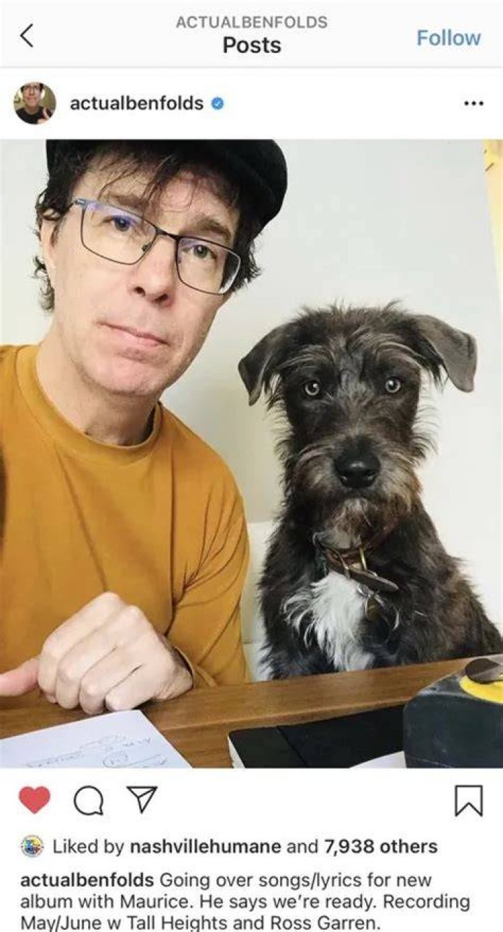 Ben Folds Pets