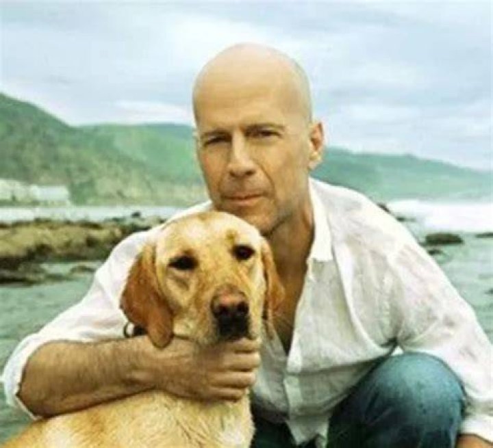 Bruce Willis Pets - Celebrity Pets