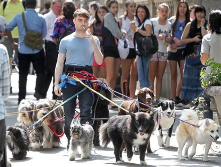 Daniel Radcliffe Pets