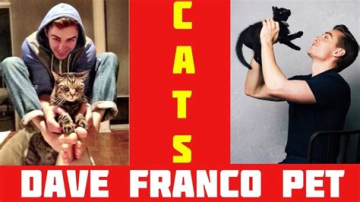 Dave Franco Pets