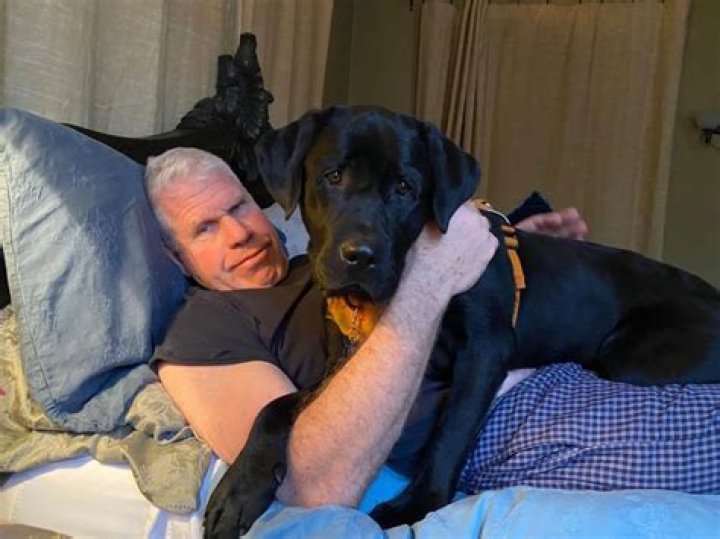 Ron Perlman Pets