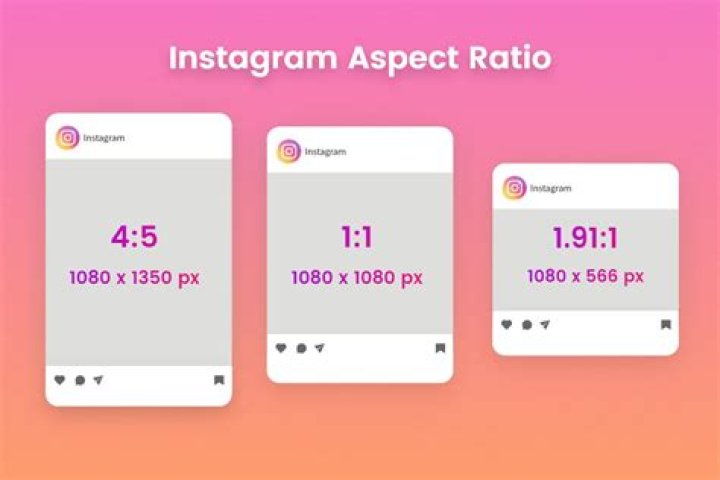 Rumpole Instagram
