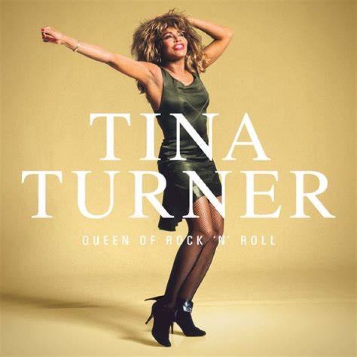Tina Turner's pet Onyx