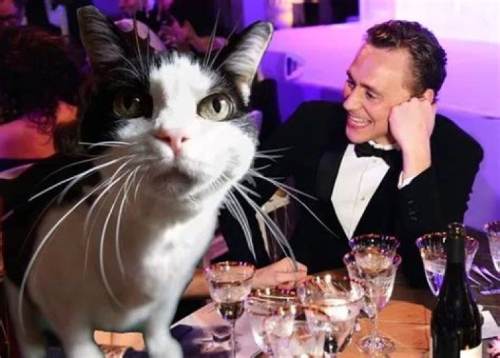 Tom Hiddleston Pets